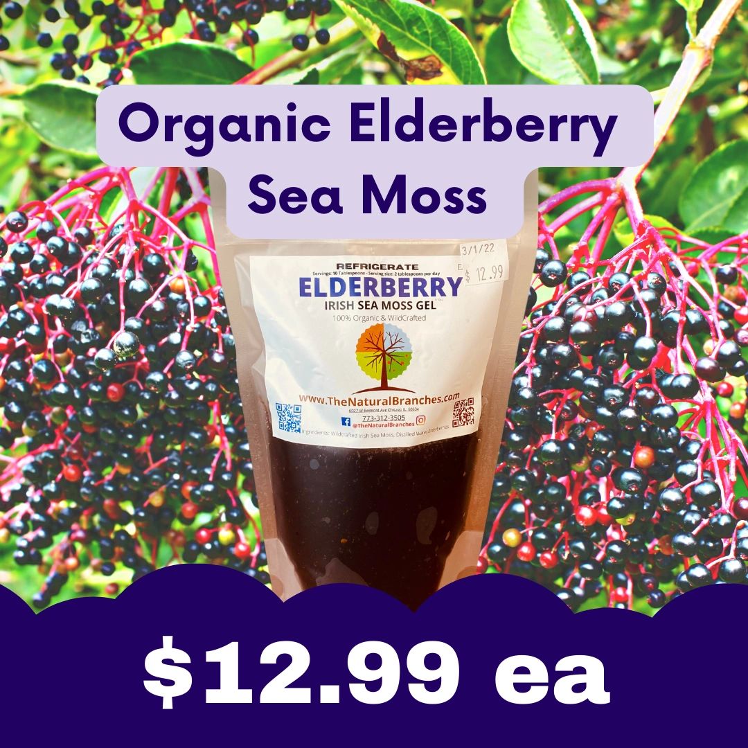 910oz Elderberry Sea Moss